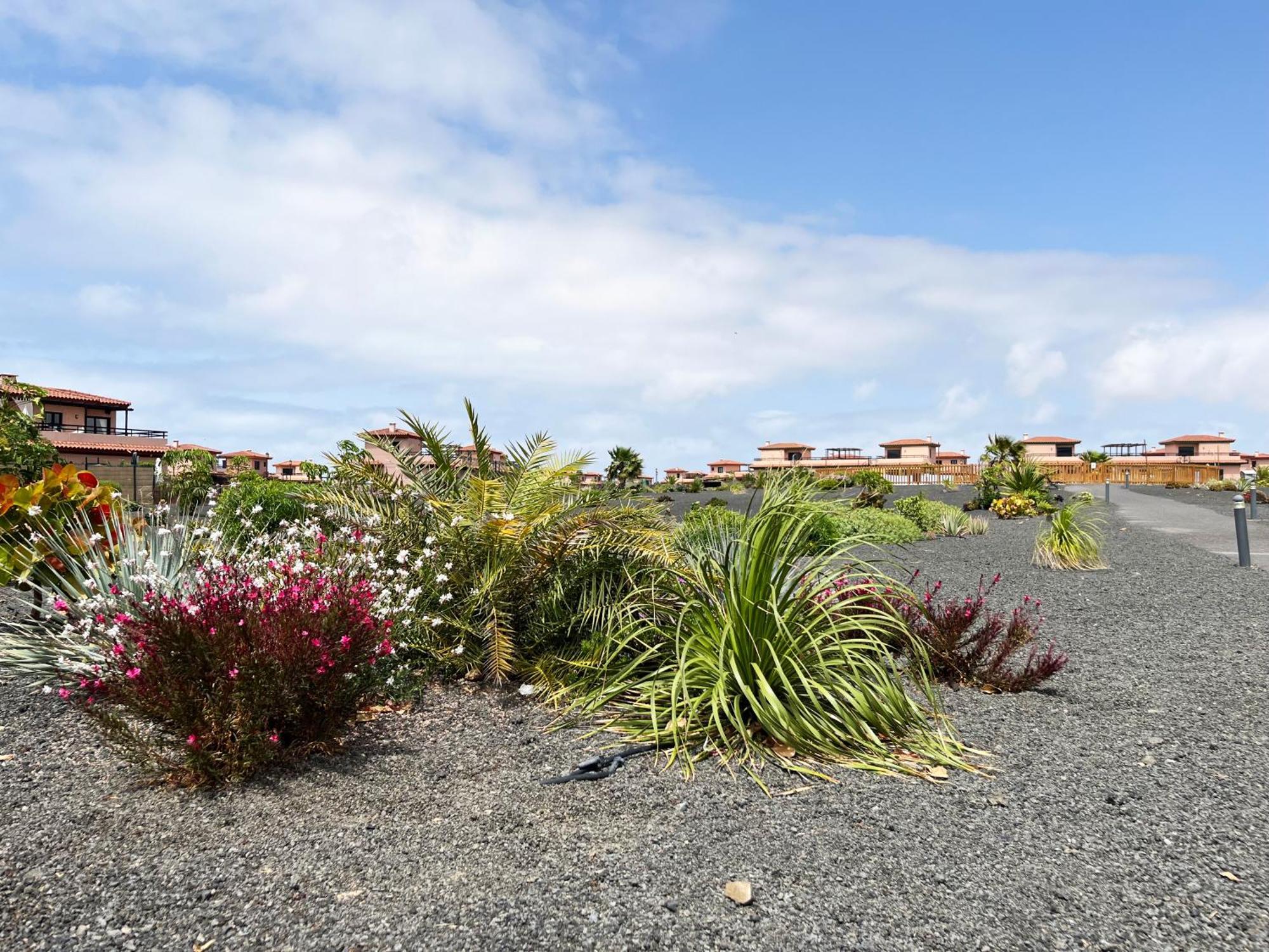 Vila Casa Solayla Origomare Lajares Exteriér fotografie